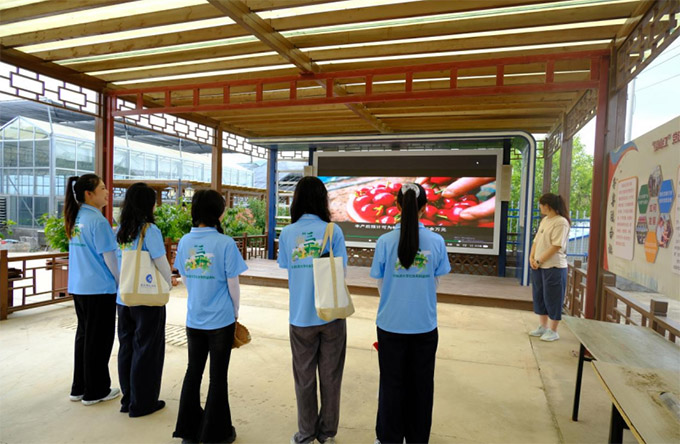 三下鄉(xiāng) | 嵙大學(xué)子深入紅櫻果香地：在豐卓聯(lián)合社體悟鄉(xiāng)村產(chǎn)業(yè)振興