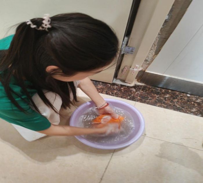 青春獻活力，清禾暖夕陽