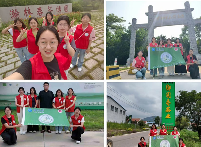 青春賦能鄉(xiāng)村振興：微亦足道團(tuán)隊日照綠茶探尋之旅