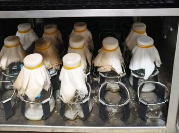 科創賦能興鄉土，青春扎根助振興——淮北師范大學學子三下鄉科技助農實踐紀實