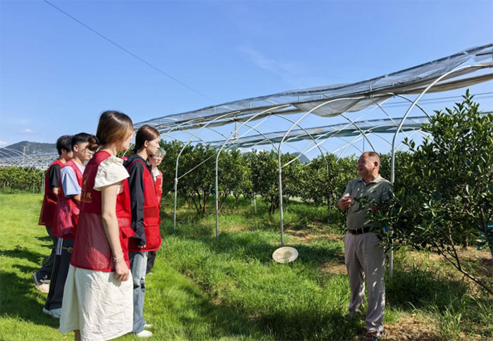 南理學子三下鄉：探訪融安金桔產業，用心感悟產業路