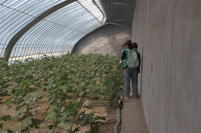 青春賦能田野間：“支慧助農先鋒隊”用智慧點亮邊疆振興路