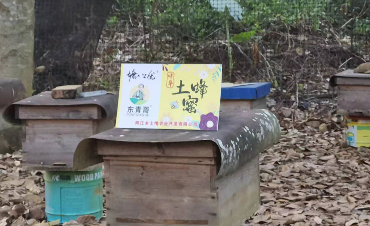 深入鄉村探蜜源，采訪調研促營銷