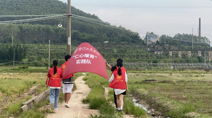 三下鄉賦能鄉村，青春力量筑夢田園