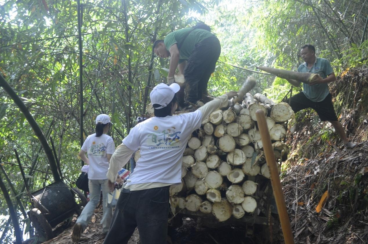 圖為實踐隊員和農戶一起搬運麻竹筍
