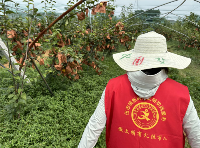 平江長坡梨采摘季，"果韻飄湘"團(tuán)隊貢獻(xiàn)青春力量