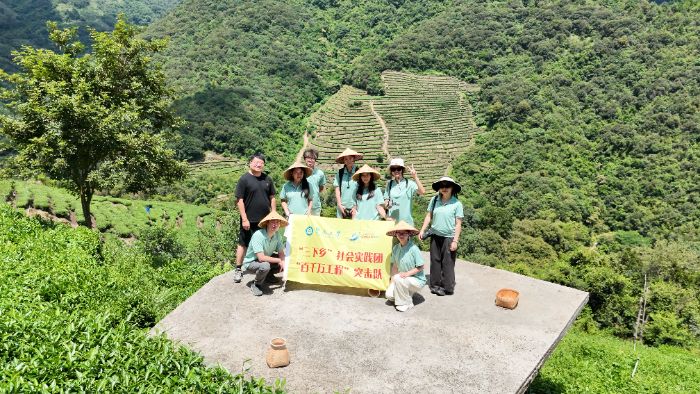 百千萬工程進行時：暨南學子深入梅州清涼山 以“融媒+”助力西陽茶文化破圈