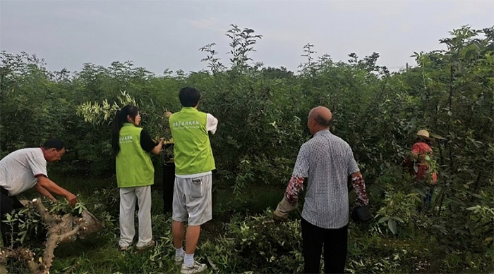 數據亮眼：30.1w點贊 + 2120% 曝光增長！00后直播助農讓鄉村振興“椒”彩出圈