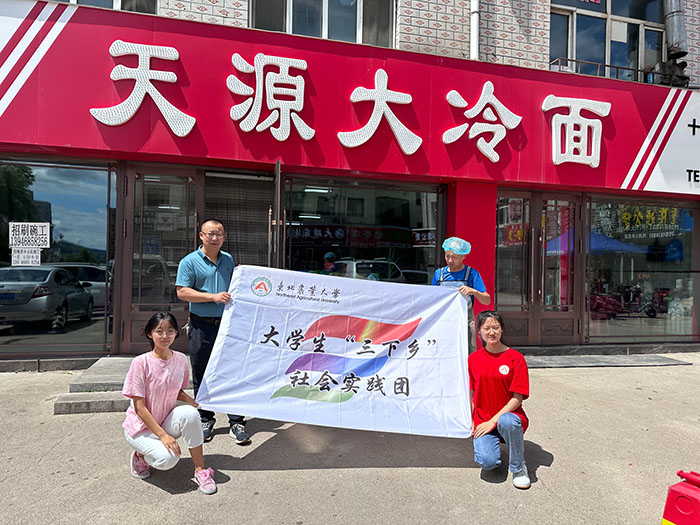 “烈日炎炎，冷面纖纖”非遺之味——東北農業大學國際文化教育學院大學生“三下鄉”社會實踐紀實