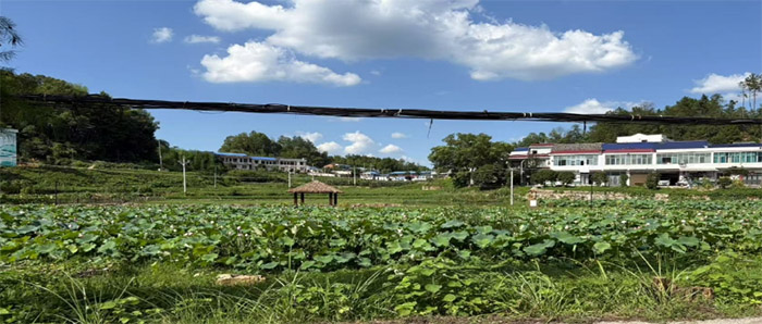 青春與歲月的對話：三下鄉團隊在心田村的暖心陪伴之旅