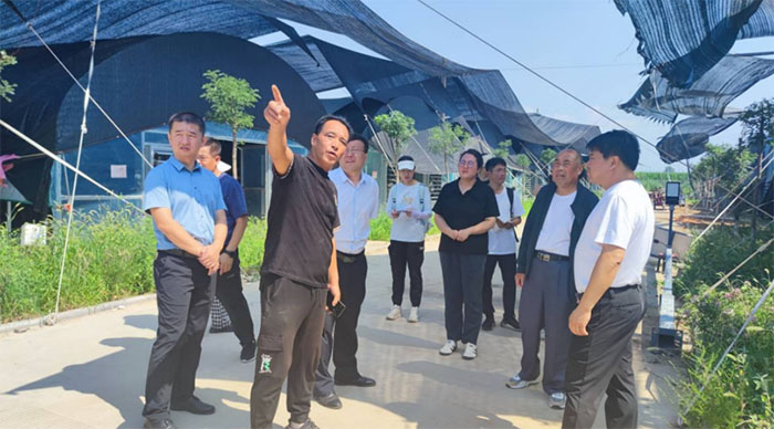 下鄉實踐遇到科研幫扶，高校對接推動鄉村振興