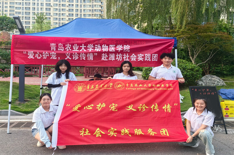 青島農(nóng)業(yè)大學(xué)“愛心護(hù)寵，義診傳情”社會實(shí)踐服務(wù)團(tuán)：攜手共筑愛寵家園 并肩共繪和諧