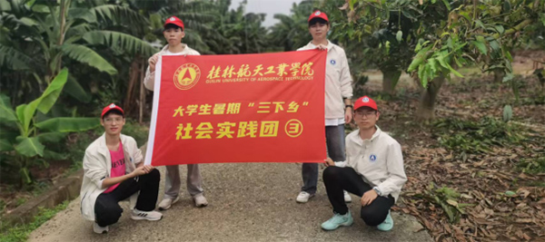 青春力量扎根橋禮，三下鄉(xiāng)實(shí)踐活動(dòng)圓滿收官——材智紅創(chuàng)先鋒隊(duì)“三下鄉(xiāng)”實(shí)踐團(tuán)總結(jié)
