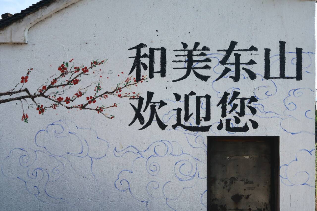 踐行黨的二十屆三中全會精神，青年先鋒助力建設和美鄉村