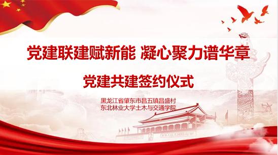 東北林業大學“肇愿‘砼’行，助農興鄉”暑期社會實踐團紀實：黨建聯建賦新能，凝心聚力譜華章