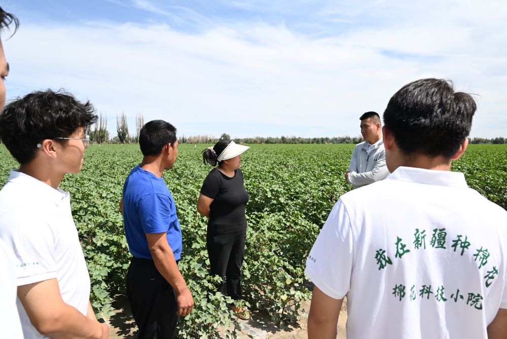 塔里木大學暑期三下鄉|低碳田野夢·綠色種植在行動
