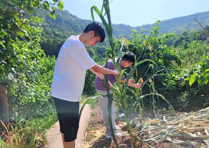逐夢志行云陽間，青春服務暖基層