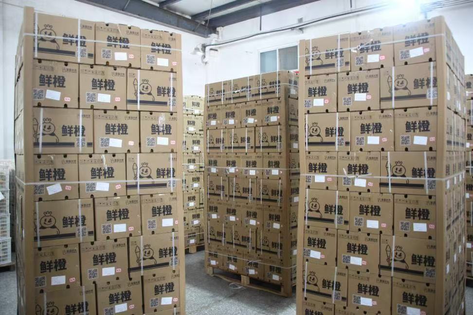 武漢東湖學院小橙故事實踐隊探秘秭歸和之源工廠：解鎖一顆柑橘的全球“出海”密碼