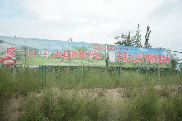數(shù)字人直播助力破解農(nóng)產(chǎn)品銷售困局——大學(xué)生實(shí)踐團(tuán)隊(duì)走訪延安致富帶頭人紀(jì)實(shí)