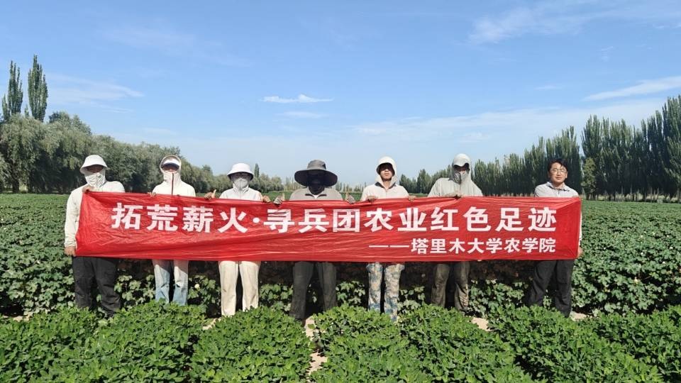 “拓荒薪火?尋兵團紅色農業足跡” 團隊調研棉花花生間作模式?