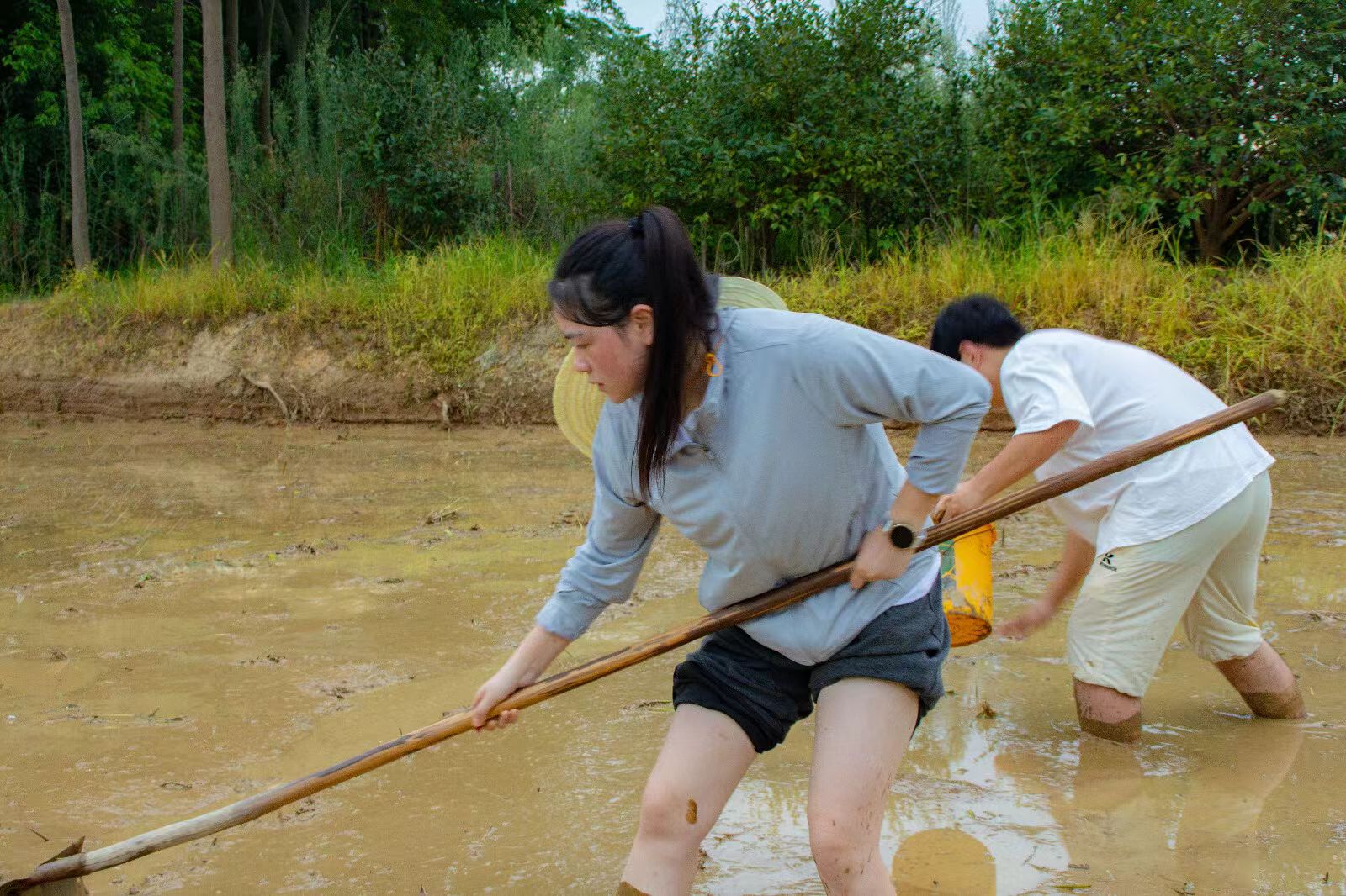 “鄉”約盛夏，大學生下鄉實踐點亮鄉村之光