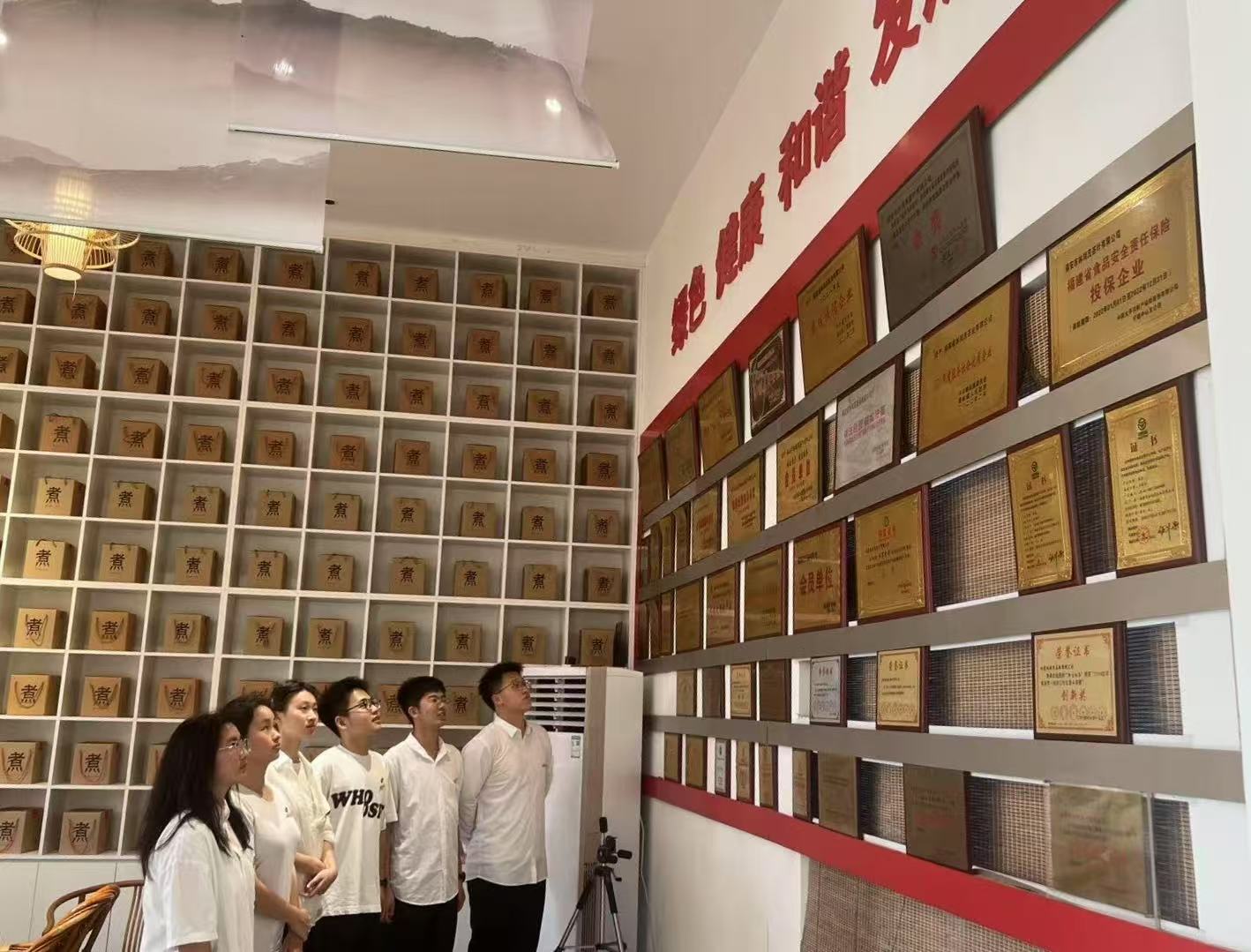 福建農林大學林學院實踐隊赴福安賽岐鎮調研：解碼茶鄉振興的生態密碼和紅色動能