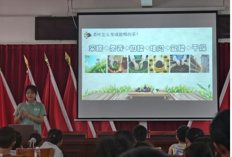 “一葉興鄉(xiāng)”：茶香潤童心，探尋茶魅力