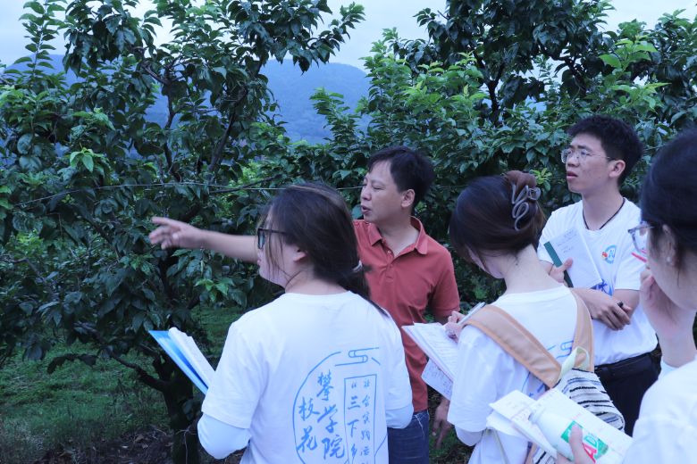 數智引領，共赴鄉村新征程——攀枝花學院數智耘途實踐小隊專題調研