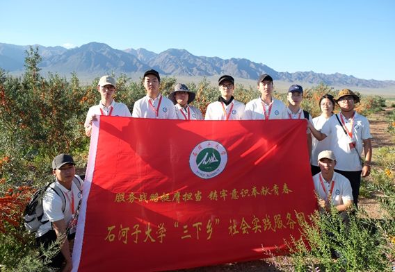 三下鄉科技支農：深入摸排沙棘生長，推動收獲機再升級