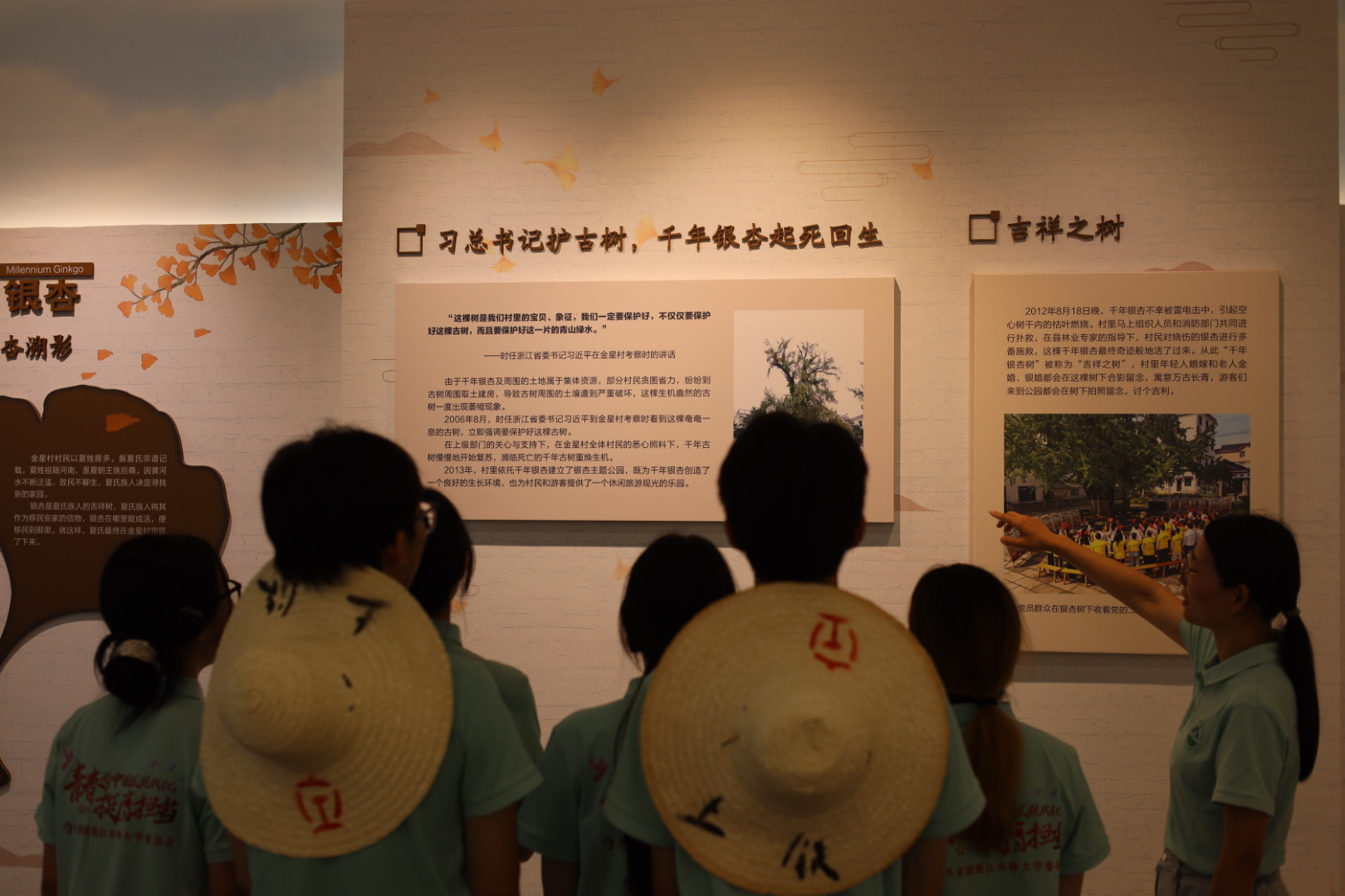 “青禾護古樹，校地共聚力” ——浙江農林大學大學生暑期社會實踐團前往開化縣開展古樹保護調研