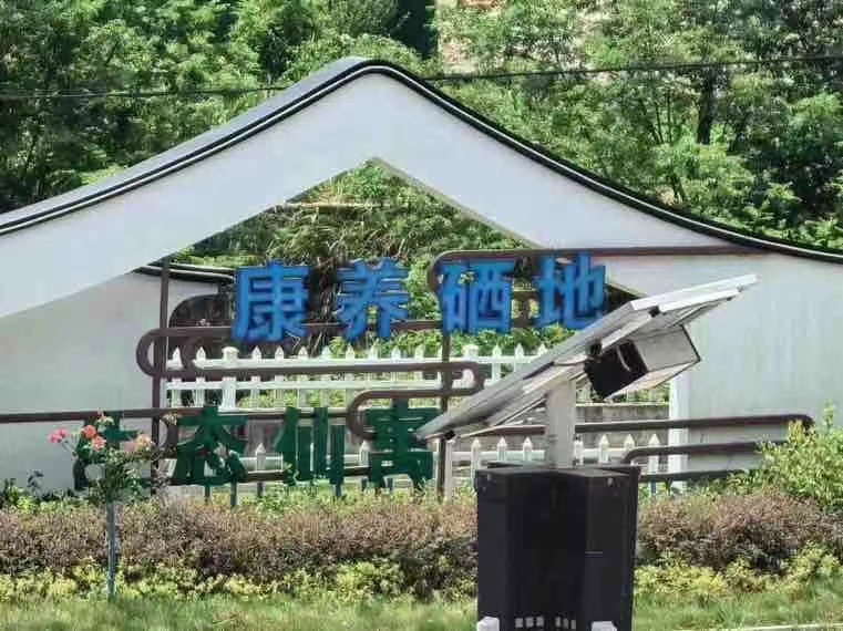 南京財經大學學子三下鄉：皖南硒情，富硒農業賦能鄉村振興