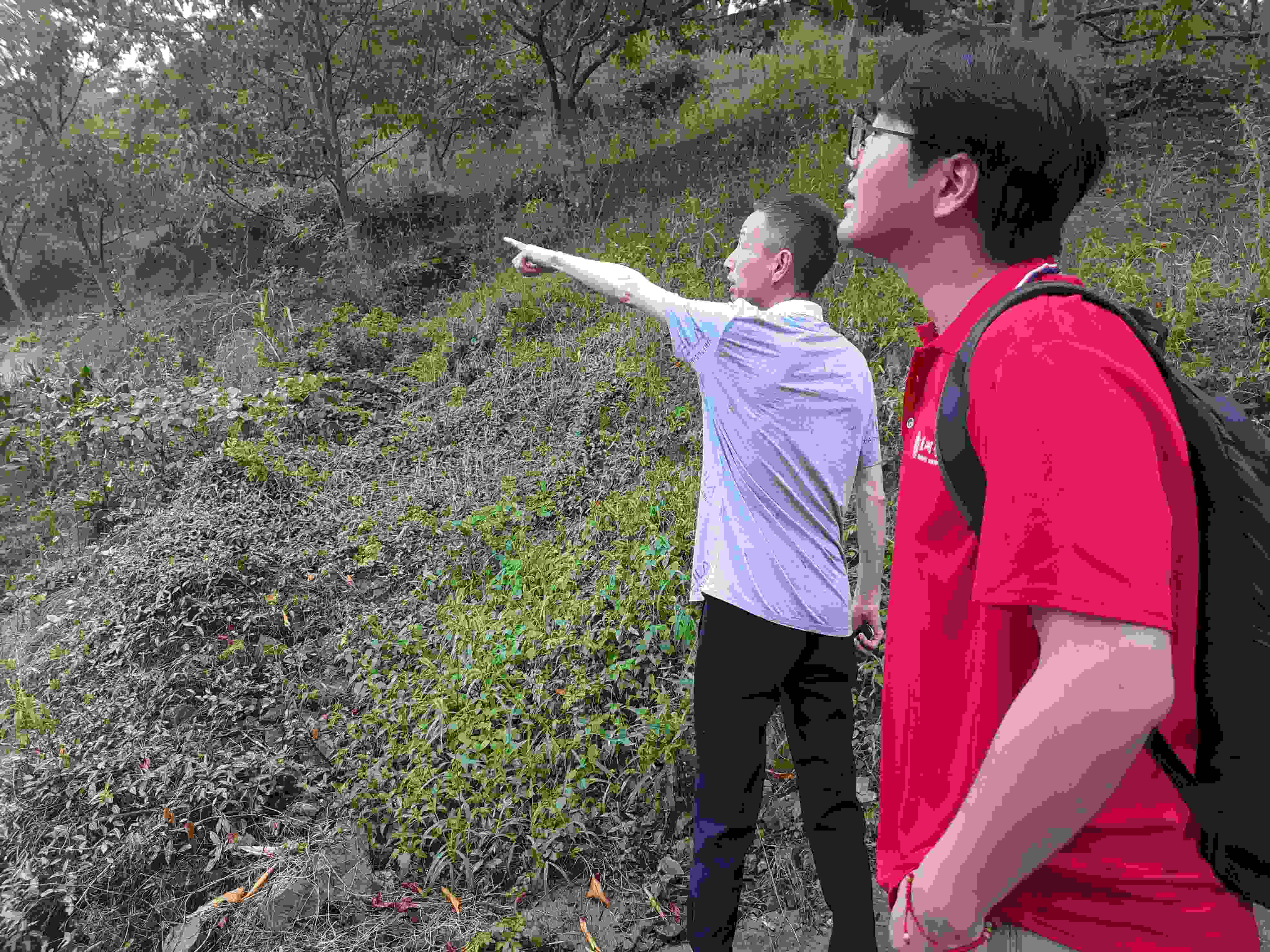 巢湖學院三下鄉：攜機械之力，助鄉村發展