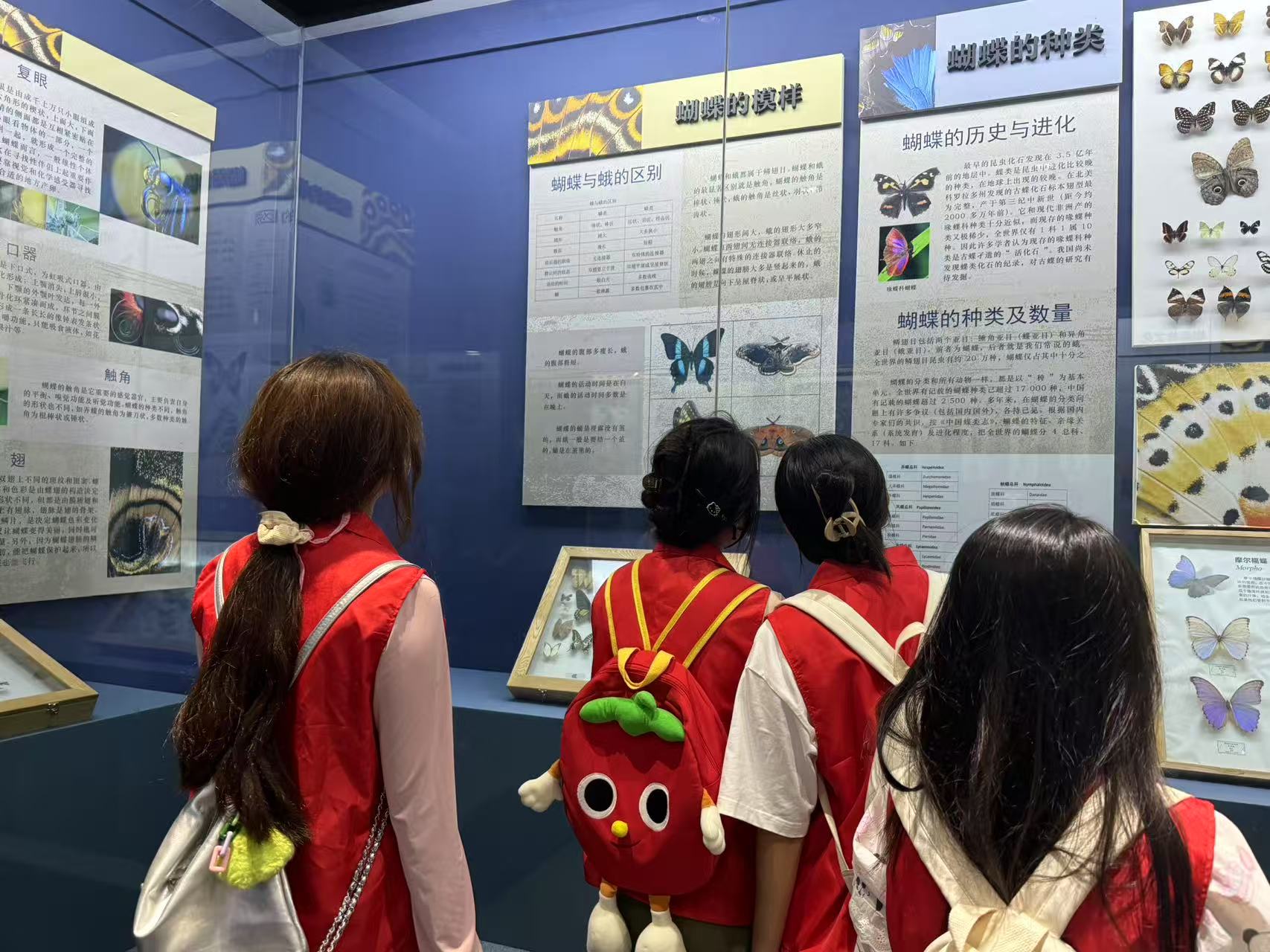 “龍的傳人”志愿服務隊一起參觀蝴蝶展