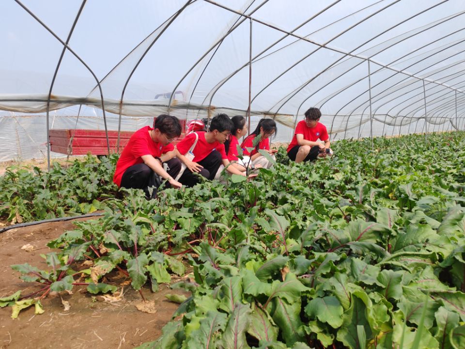 “青襟數維，共護黃河”社會實踐團前往淄博市傅家鎮傅家村調研新農村建設及孝婦河傅家段水域情況
