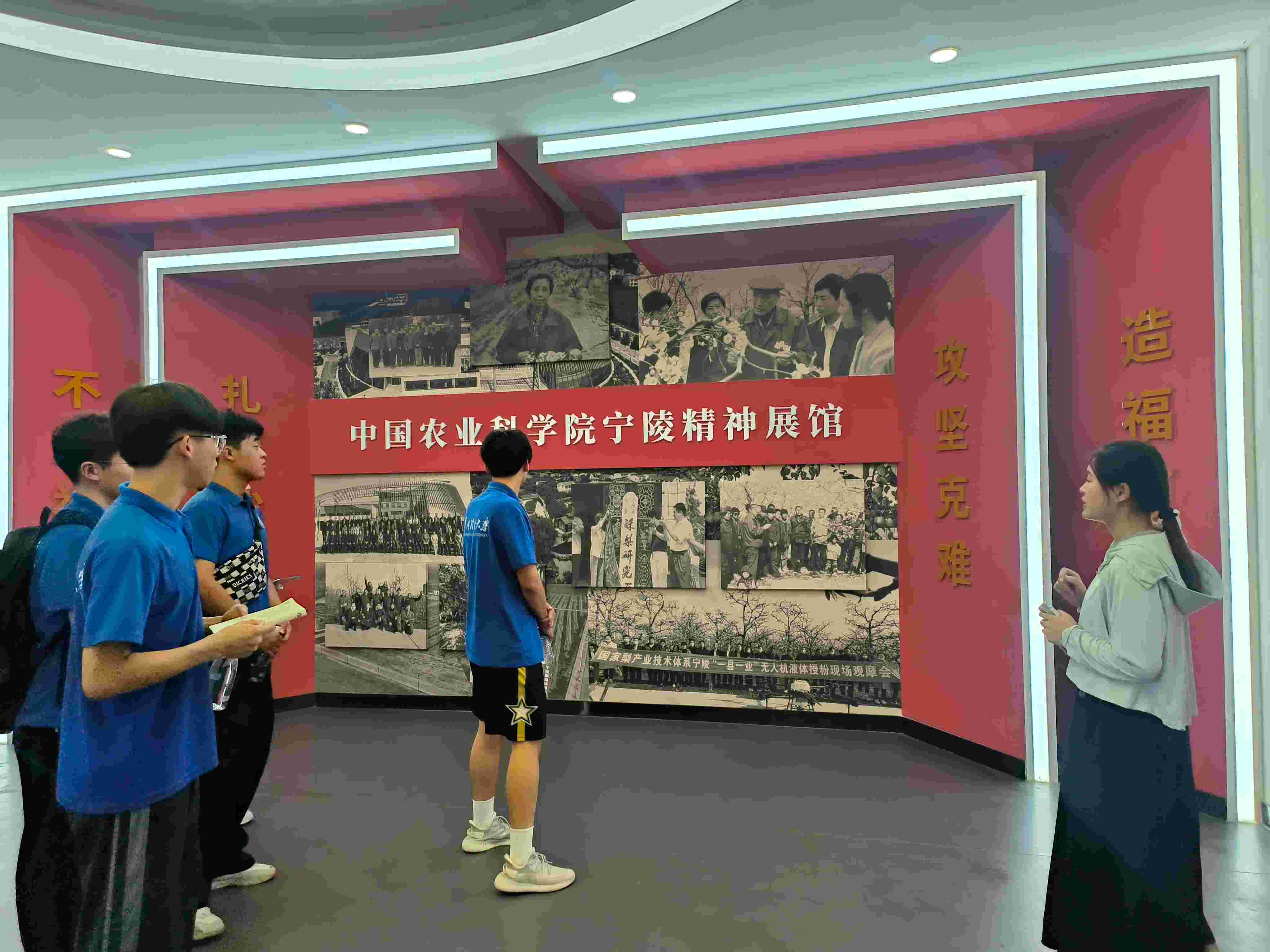 共鑒農業科技與文化交融，領略寧陵酥梨產業新高度--河南理工大學“梨”尚往來團隊三下鄉