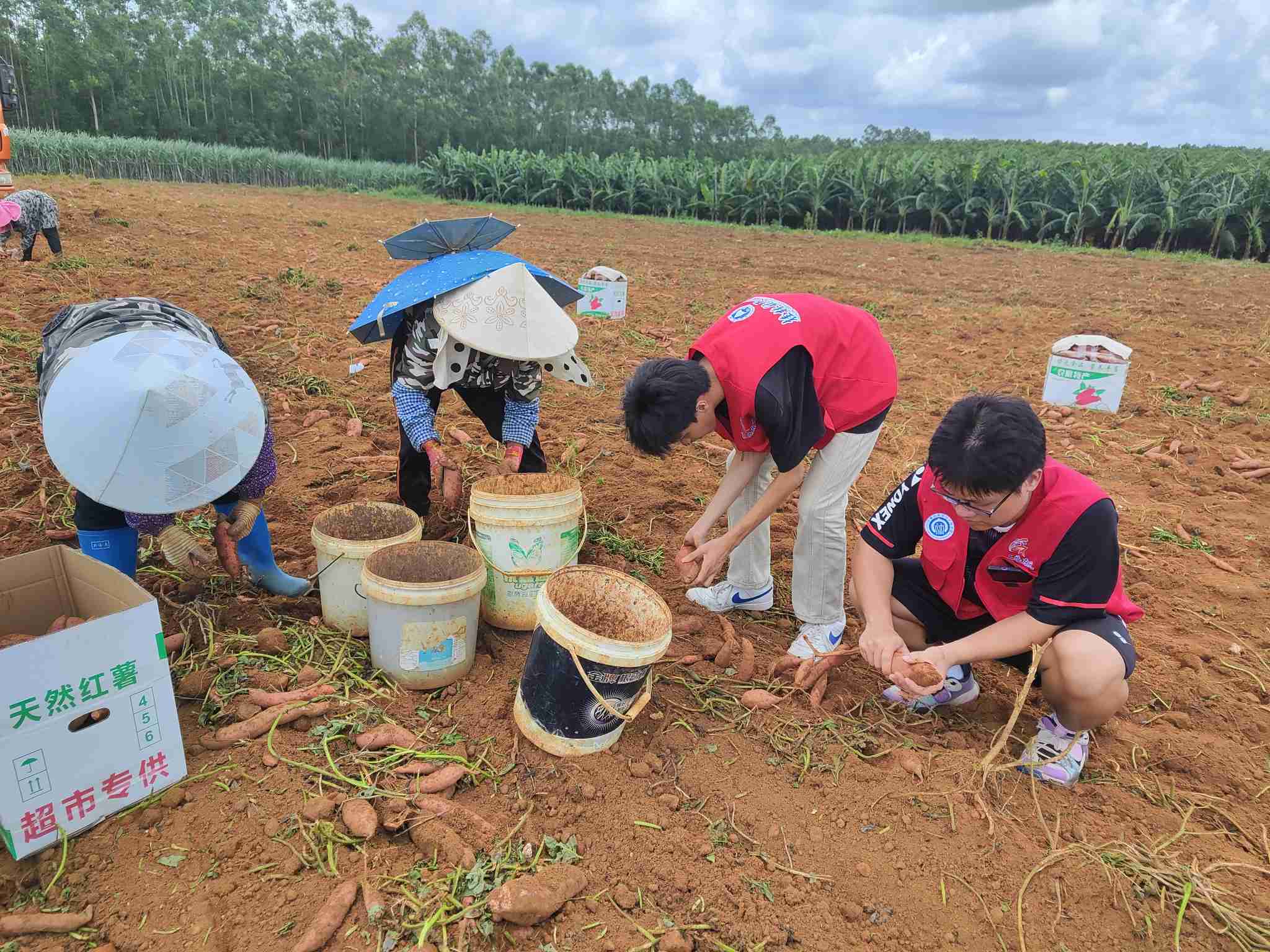 桂航學子心系鄉土，共繪振興宏圖