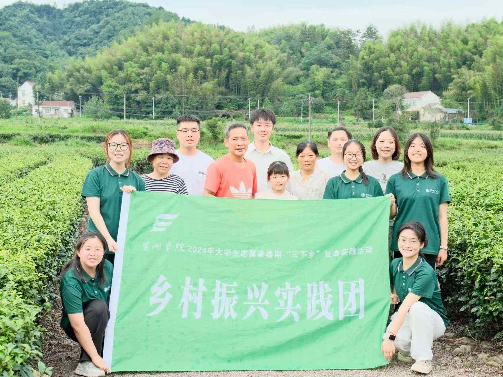 茶韻飄香映紅輝，共筑鄉村振興夢