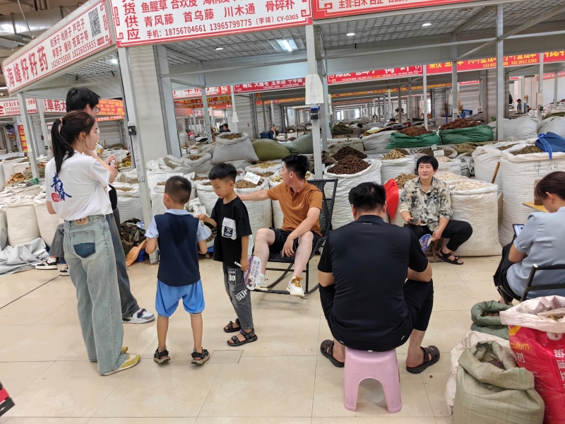 探索中醫藥知識，弘揚中醫藥文化————英語對外宣傳實踐調研團隊在行動