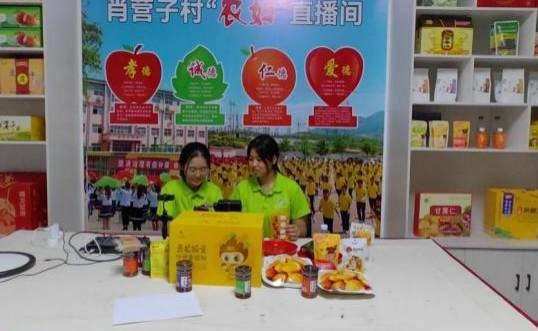 發(fā)揮專業(yè)特長，助力鄉(xiāng)村振興            ——園藝科技學