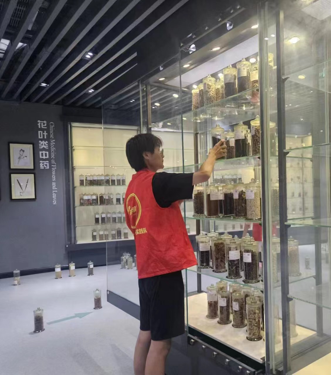 承岐黃薪火，揚中醫文化             -----“藥”你健康實踐隊