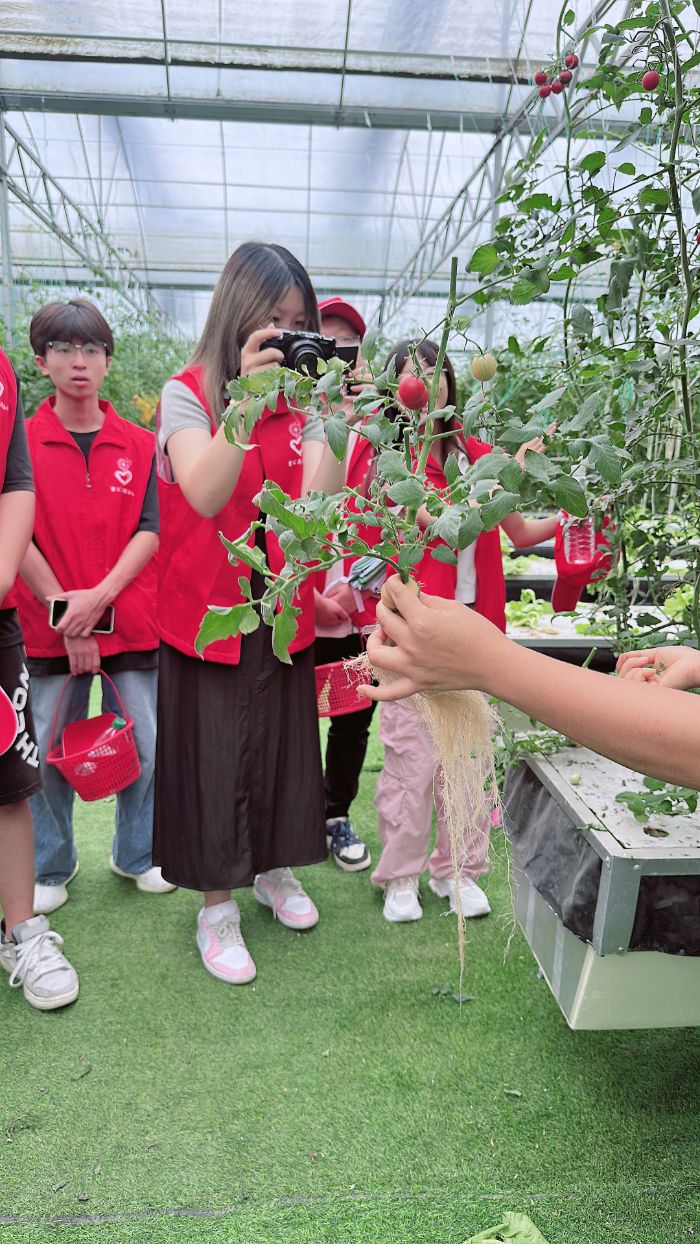 安徽理工大學青村調色盤團隊三下鄉：千里奔赴渝州地，青春服務暖人心