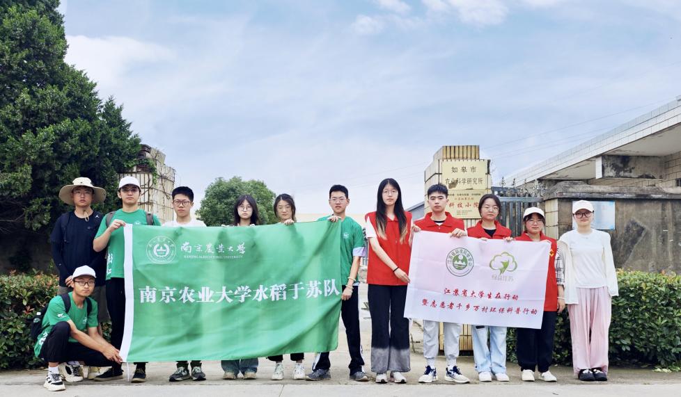 南京農業大學暑期社會實踐：水稻于蘇小分隊赴如皋開展“水稻種植順民意，雉水小院繪豐圖暑期”暑期實踐活動