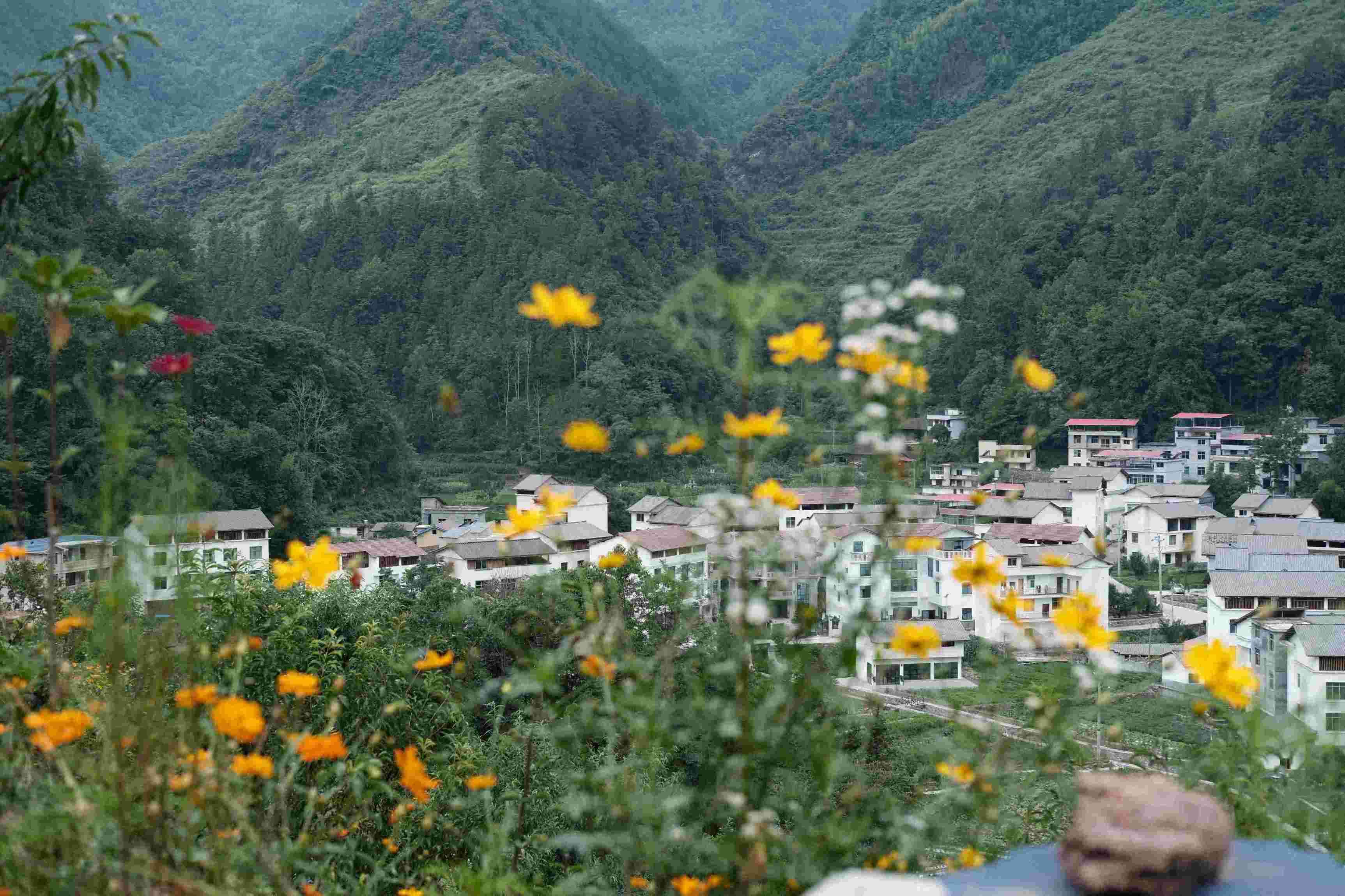 探索生物多樣性新路徑，共繪鄉村振興與可持續發展新畫卷  ——記重慶師范大學生命科學學院“耕培啟潤”團隊酉陽之旅