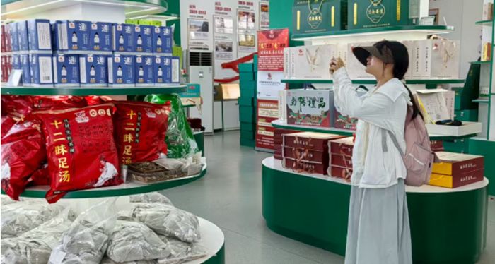 青衿探艾尋真意，古草凝香續新篇