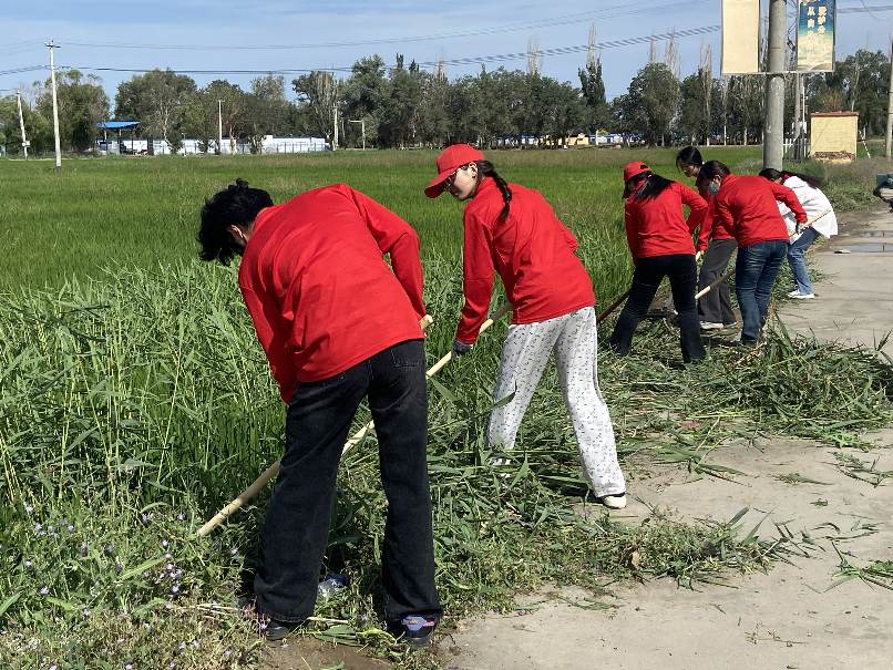 三下鄉|下田踐農事 助農學真章