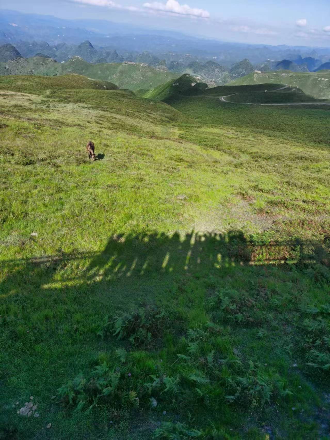 山東大學赴赫章支教調研實踐活動