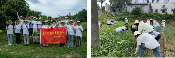 培養(yǎng)勞動(dòng)情懷與實(shí)踐情懷，點(diǎn)亮美好未來(lái)