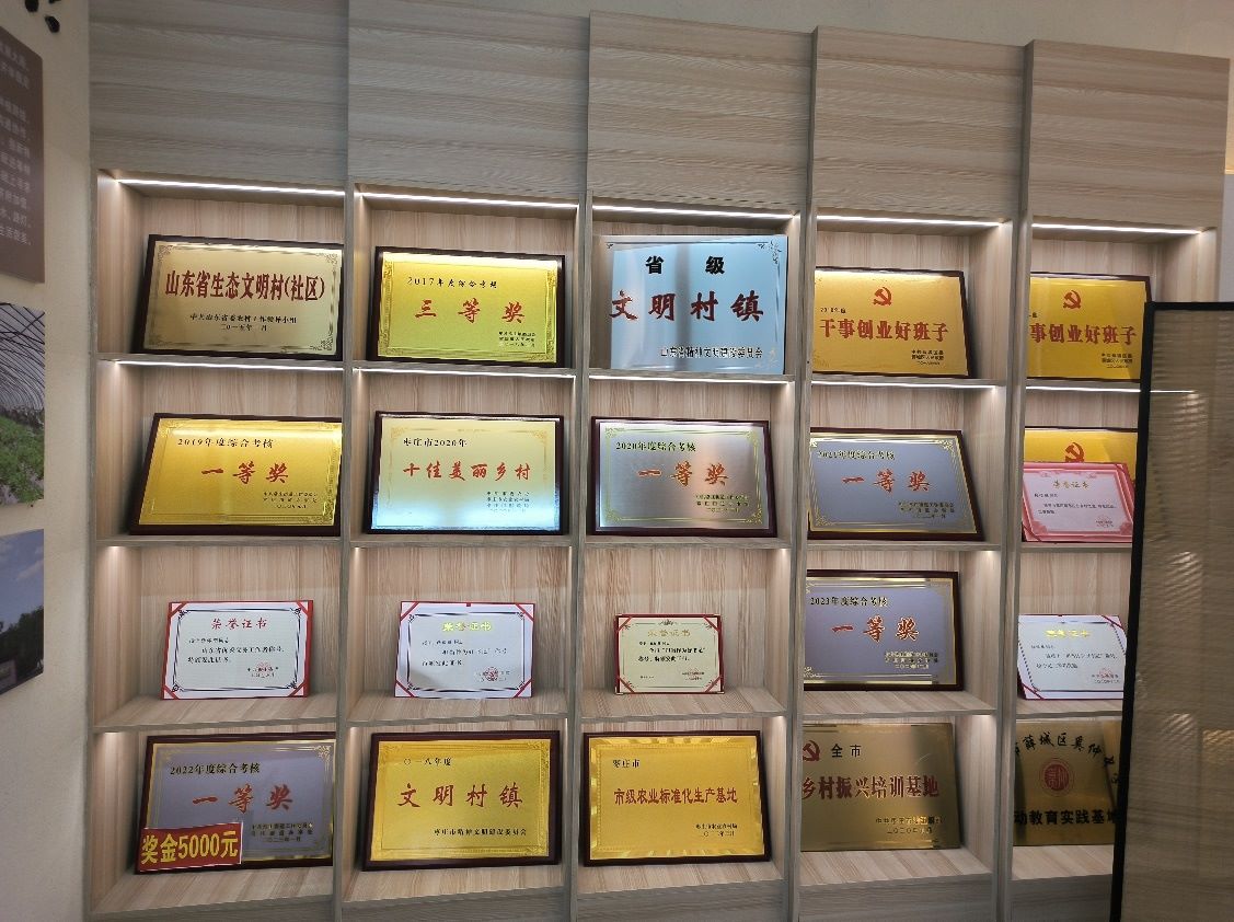 聚焦特色產業(yè)，黨建引領發(fā)展：魯東大學學子走進棗莊市薛城區(qū)常莊街道“山里紅”特色種植園