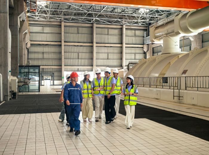 安理學子三下鄉：探尋雙槐鎮，解鎖鄉村振興密碼