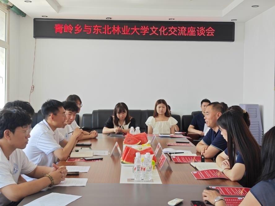 “砼”赴鄉土 星火相筑小隊黨團聯建會議順利開展